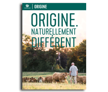 Brochure Origine