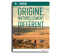 Grossiste alimentaire - Nouveau catalogue Transgourmet Origine