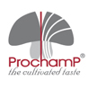 Grossiste PROCHAMP