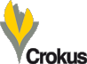 Grossiste Crokus