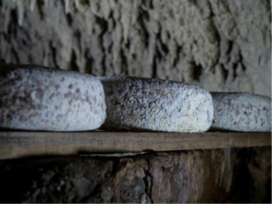 Tomme de chèvre cave de