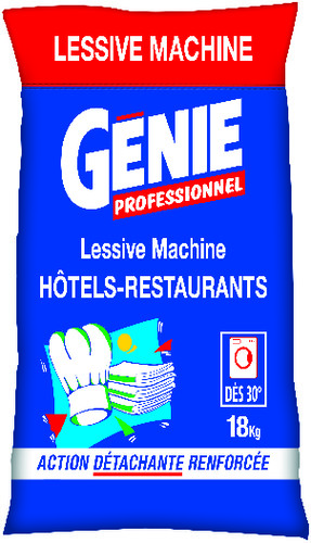 Génie professionel