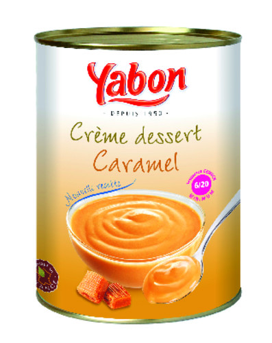 Crème dessert au caramel