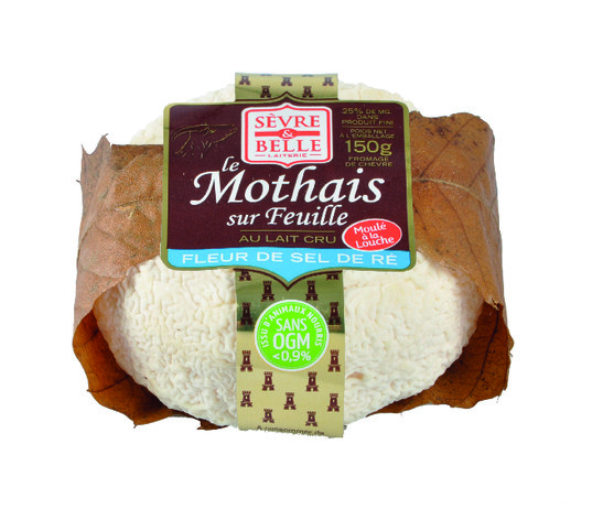 Mothais sur feuille au