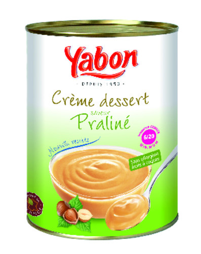 Crème dessert praliné