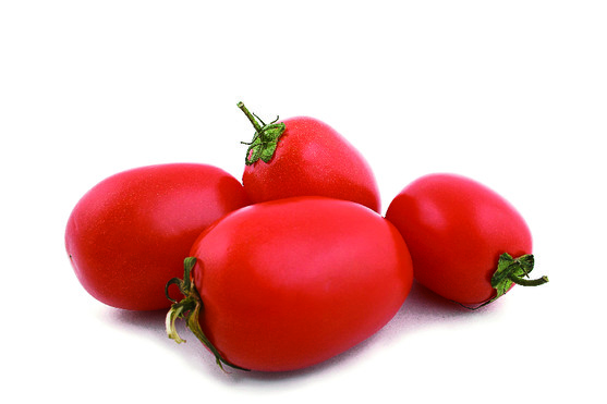 Tomate allongé