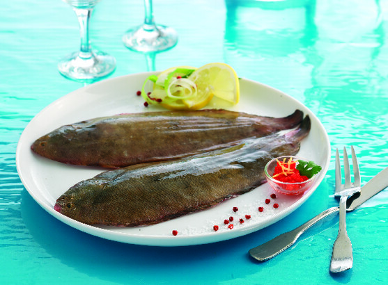 Sole de roche