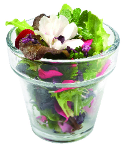 Pot Yves Rocher