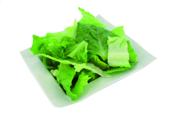 Romaine coupée