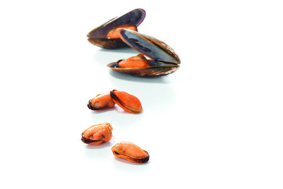 Moules décortiquées