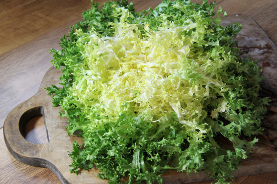 Frisée grosse cote