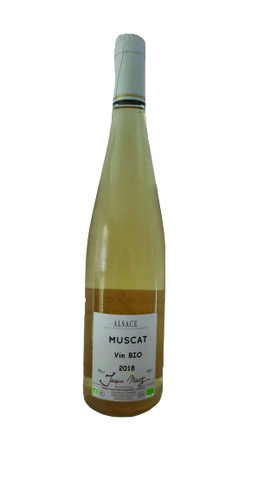 Muscat fleckstein blanc bio