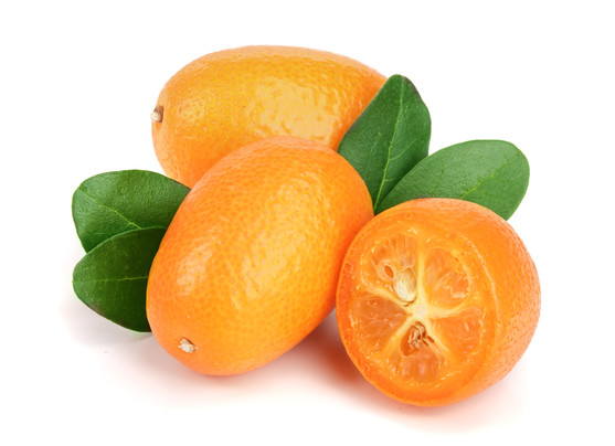 Kumquat