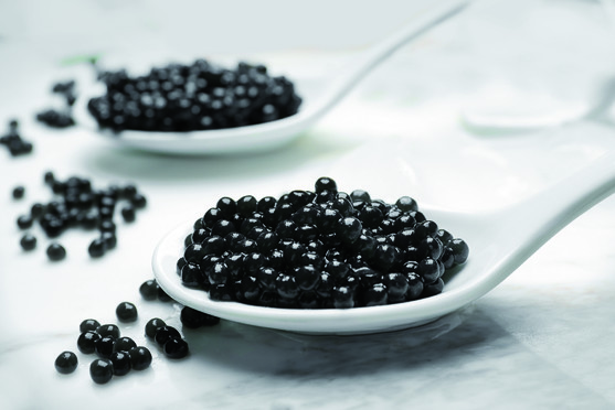 Caviar oscietre