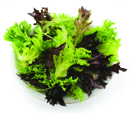 Salade multifeuille