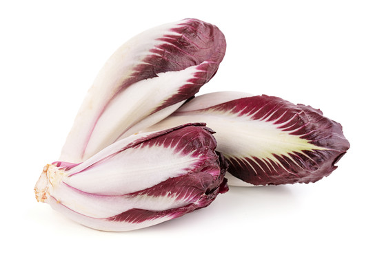 Endive rouge