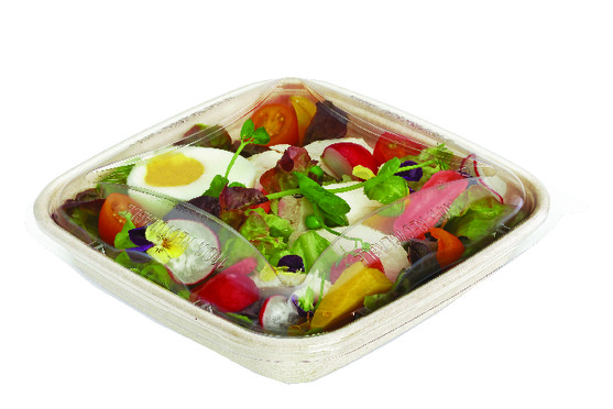 Boite salade fibre rectangle