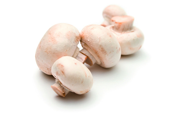 Champignon blanc Paris 500 g