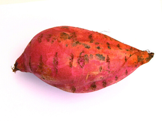 Patate douce orange