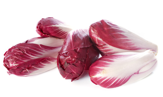 Endive carmine