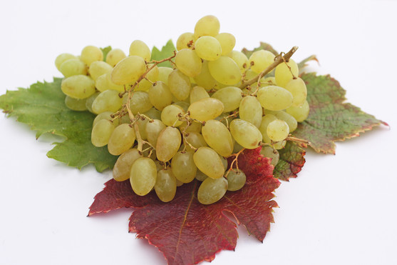 Raisins centennial sans pépin