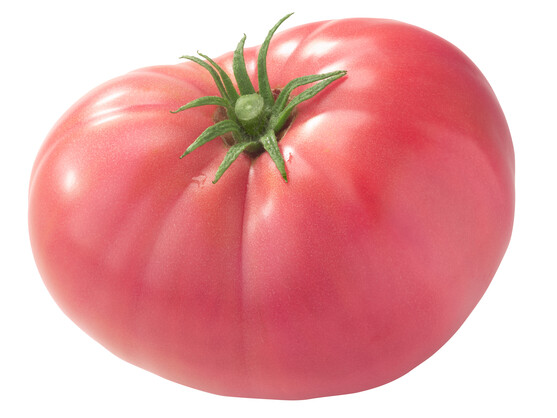 Tomate ronde charnue rose bio