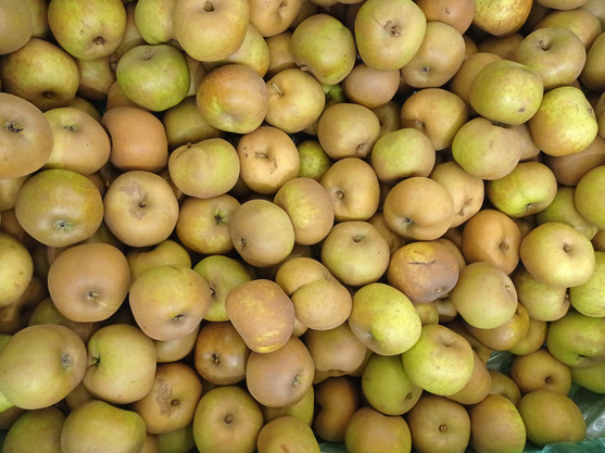 Pommes reines des reinettes