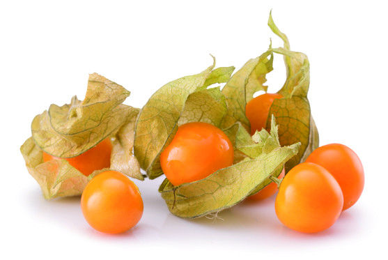 Physalis colombie