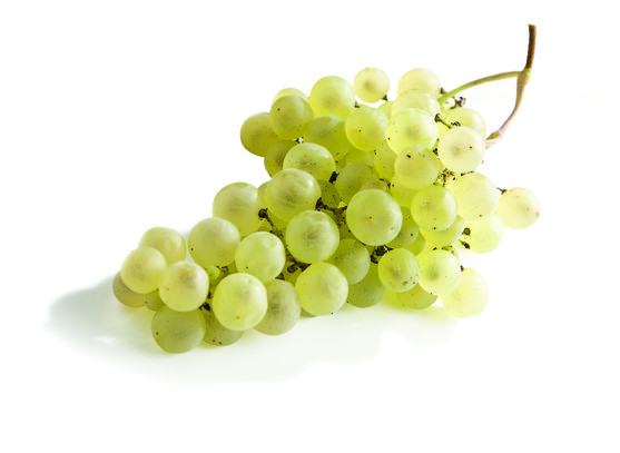 Raisin chasselas