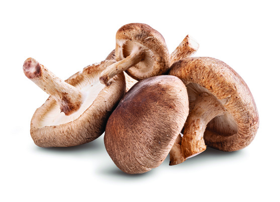 Champignon shiitake