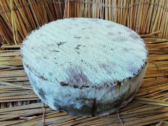 Tomme de chèvre au lait