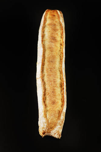 Baguette courti précuit