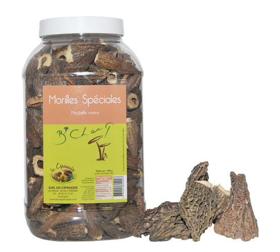 Morilles spéciales