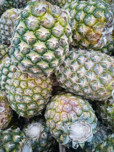 Ananas