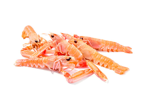 Langoustine entière crue