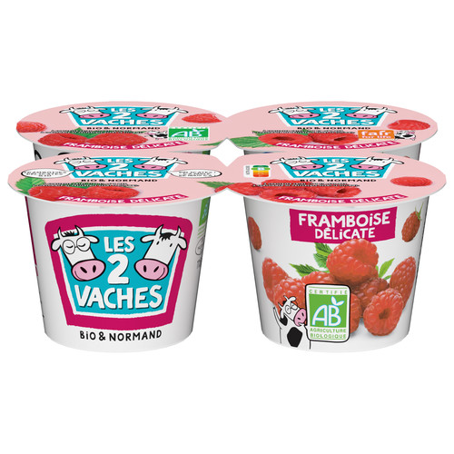 Yaourt fruits framboise bio