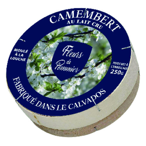 Camembert au lait cru