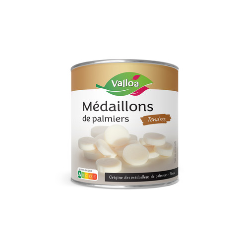 Médaillon palmier