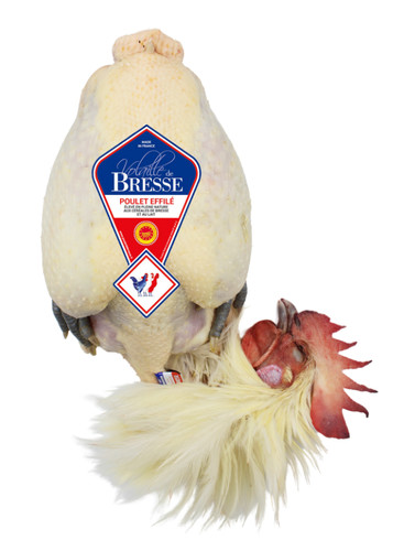 Poulet effilé nu aop bresse