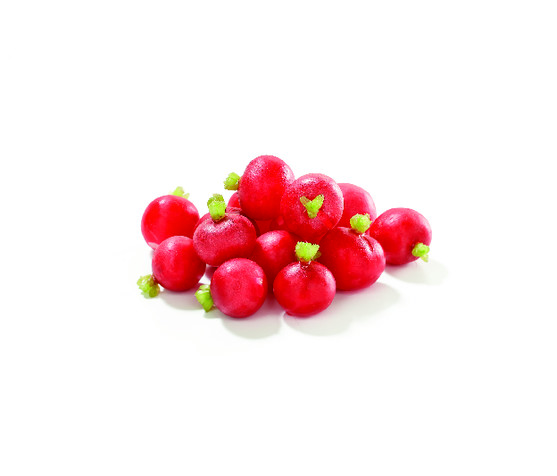 Radis rond équeuté