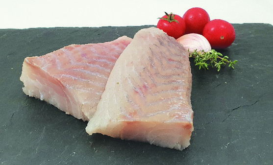 Dos de colin lieu msc