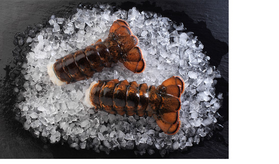 Queues de homard canadien