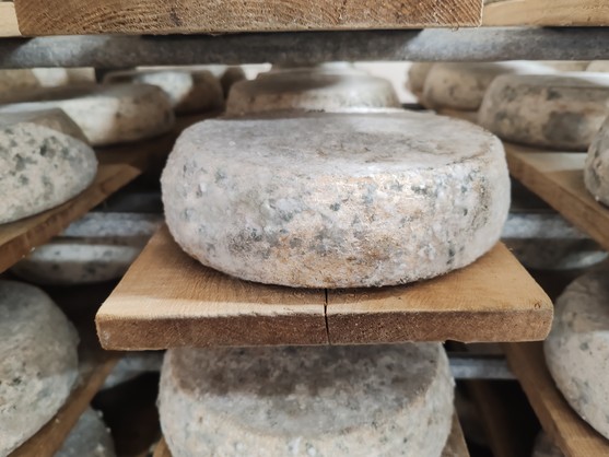 Tomme fermière