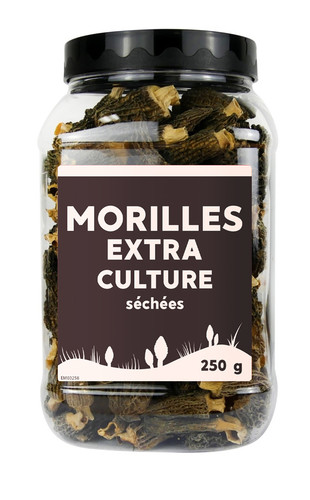 Morille extra séchée culture
