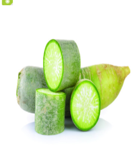 Radis green meat
