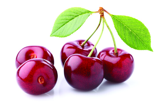 CERISE +28
