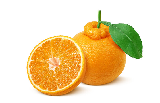 Mandarine orri 1/2
