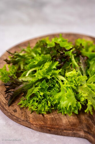 Salade multifeuille