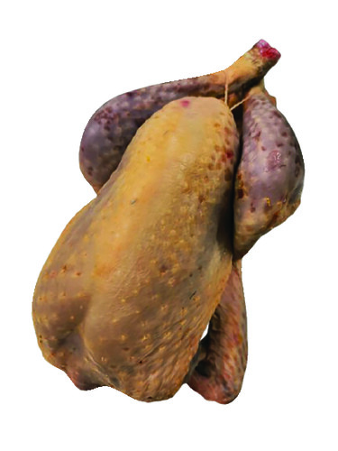 Pintade pac
