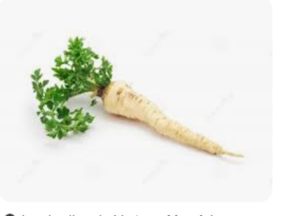 Persil tubéreux BIO